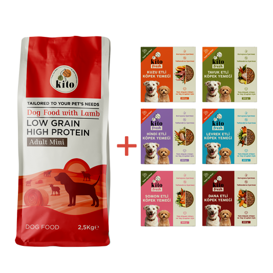 Kuzu Etli Yetişkin Mini Irk Köpek Maması 2.5 KG + Kito Fresh %100 Taze İçerikli Mama Tanışma Paketi