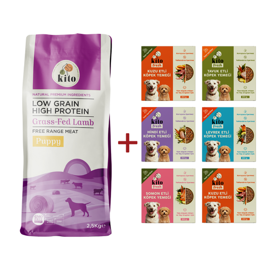 Puppy Food 2,5 KG + Kito Fresh Introduction Package