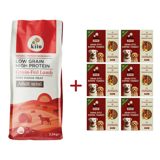 Kuzu Etli Yetişkin Mini Irk Köpek Maması 2.5 KG + 6 Adet Kito Fresh Dana Etli %100 Taze İçerikli Mama