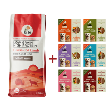 Kuzu Etli Yetişkin Mini Irk Köpek Maması 2.5 KG + Kito Fresh %100 Taze İçerikli Mama Tanışma Paketi