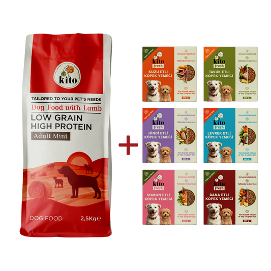 Adult Mini Dog Food 2,5 KG + Kito Fresh Introduction Package