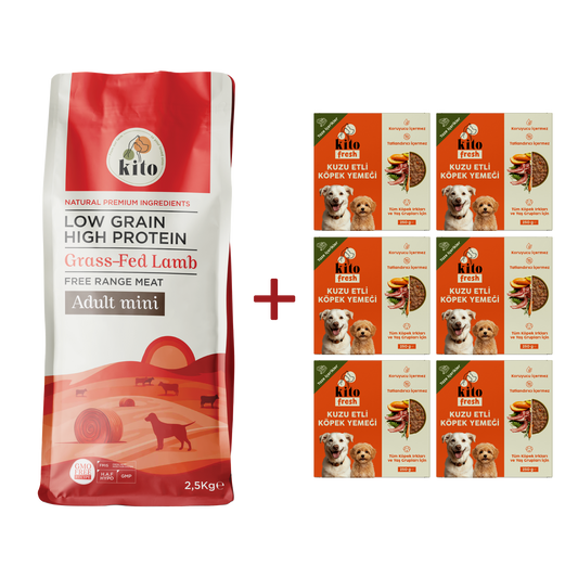 Kuzu Etli Yetişkin Mini Irk Köpek Maması 2.5 KG + 6 Adet Kito Fresh Kuzu Etli %100 Taze İçerikli Mama