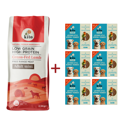 Kuzu Etli Yetişkin Mini Irk Köpek Maması 2.5 KG + 6 Adet Kito Fresh Levrek Etli %100 Taze İçerikli Mama
