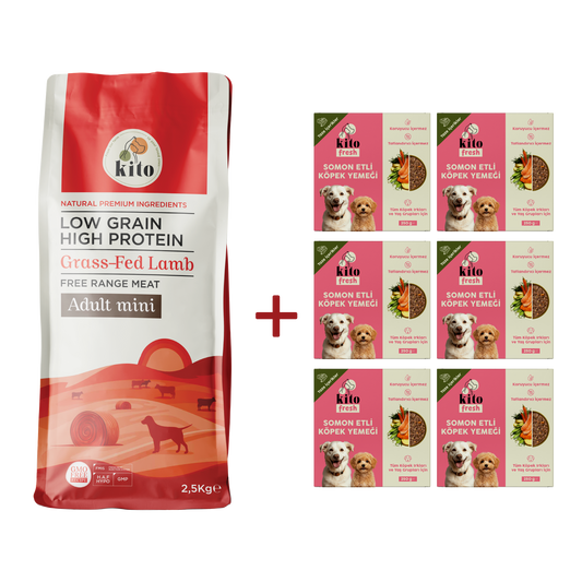 Kuzu Etli Yetişkin Mini Irk Köpek Maması 2.5 KG + 6 Adet Kito Fresh Somon Etli %100 Taze İçerikli Mama