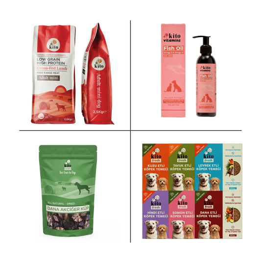 Kito Mini Irk Tanışma Paketi