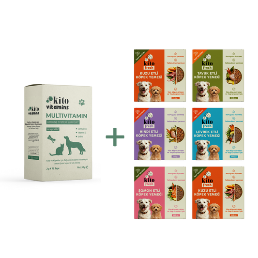 Köpekler için Kito Fresh Tanışma Paketi + Kito Multivitamin Bağışıklık Sistemi Destekleyici