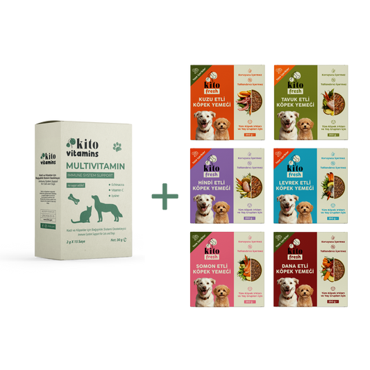 Köpekler için Kito Fresh Tanışma Paketi + Kito Multivitamin Bağışıklık Sistemi Destekleyici