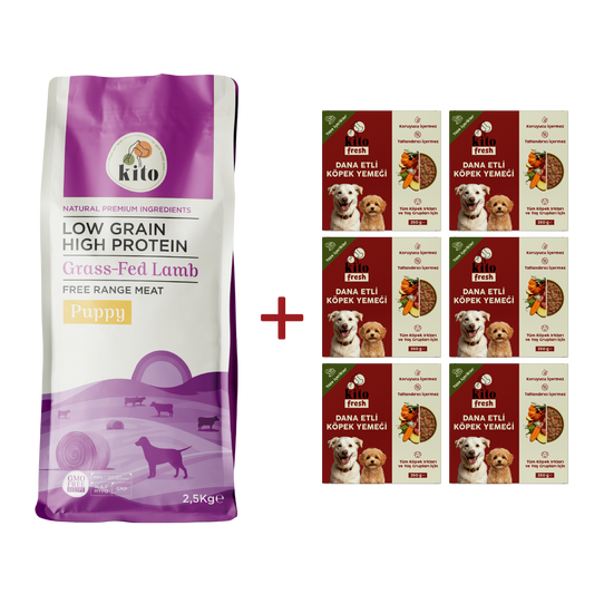 Kuzu Etli Yavru Köpek Maması 2.5 KG + 6 Adet Kito Fresh Dana Etli %100 Taze İçerikli Mama