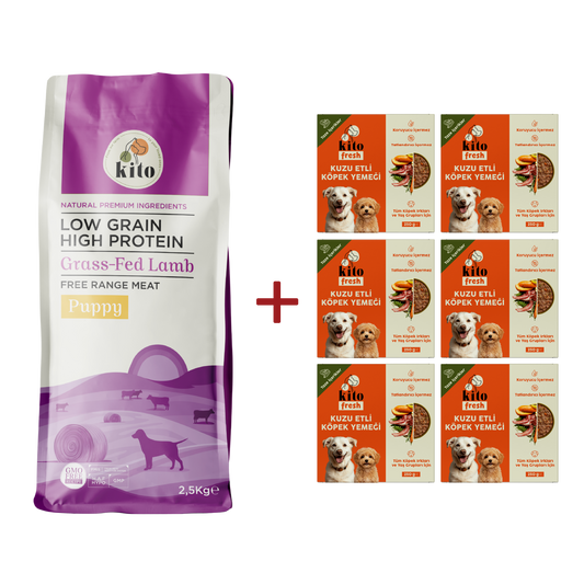 Kuzu Etli Yavru Köpek Maması 2.5 KG + 6 Adet Kito Fresh Kuzu Etli %100 Taze İçerikli Mama