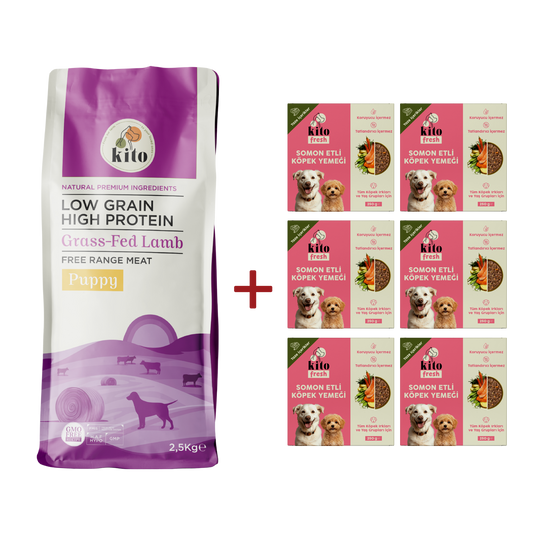Kuzu Etli Yavru Köpek Maması 2.5 KG + 6 Adet Kito Fresh Somon Etli %100 Taze İçerikli Mama