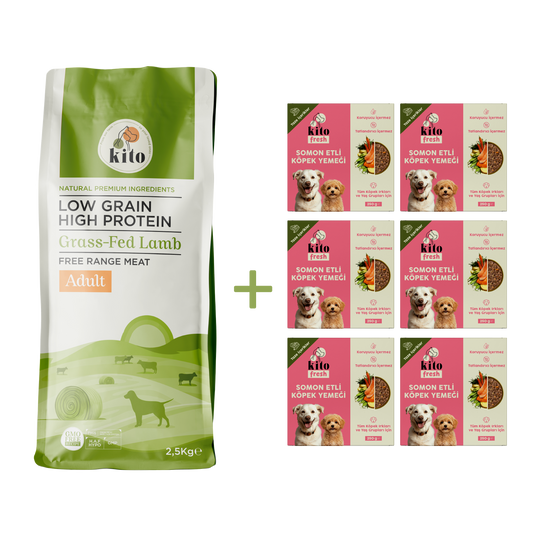 Kuzu Etli Yetişkin Köpek Maması 2,5 Kg + 6 Adet Kito Fresh Somon Etli %100 Taze İçerikli Mama