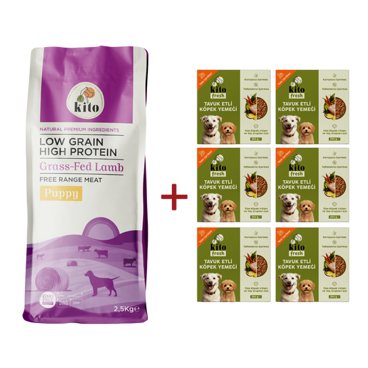 Kuzu Etli Yavru Köpek Maması 2.5 KG + 6 Adet Kito Fresh Tavuk Etli %100 Taze İçerikli Mama