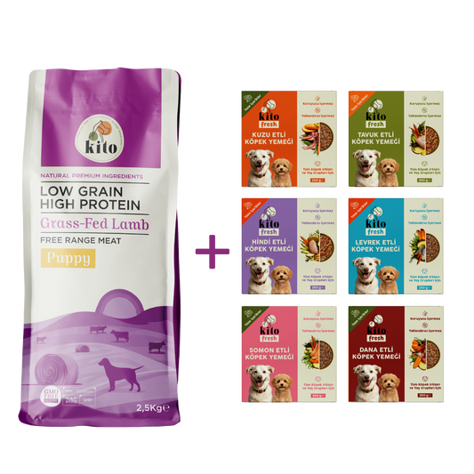 Kuzu Etli Yavru Köpek Maması 2.5 KG + Kito Fresh %100 Taze İçerikli Mama Tanışma Paketi
