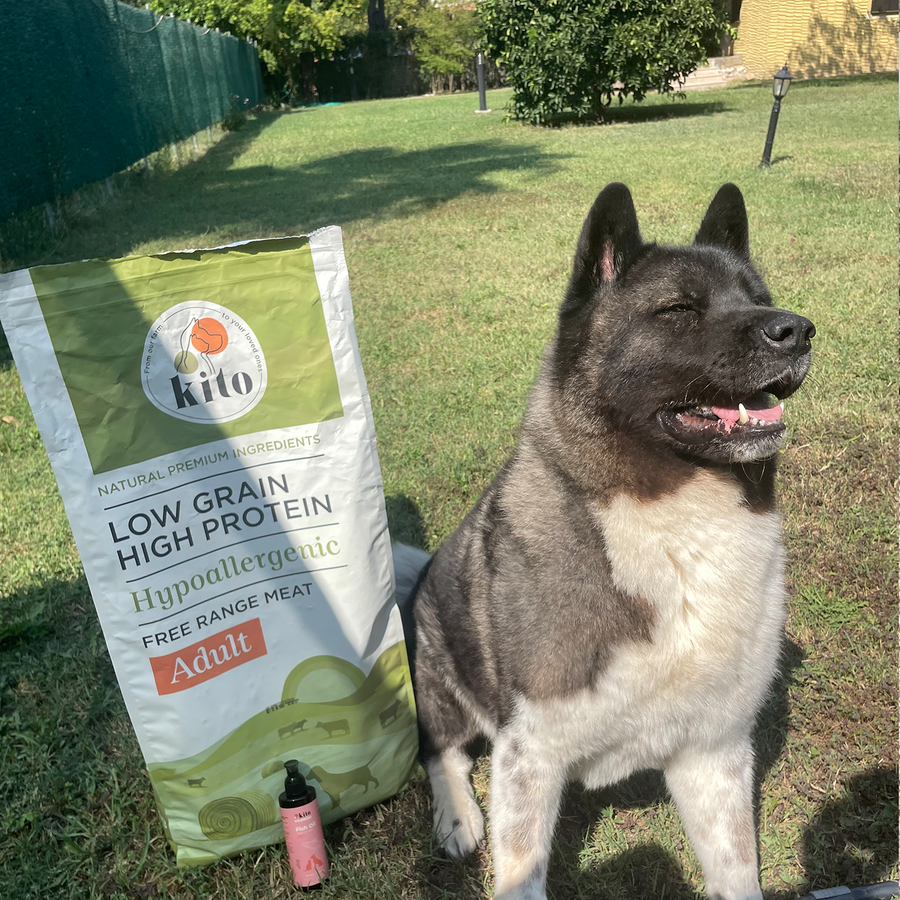 Doğal Besi Kuzu Etli Yetişkin Köpek Maması 15 Kg