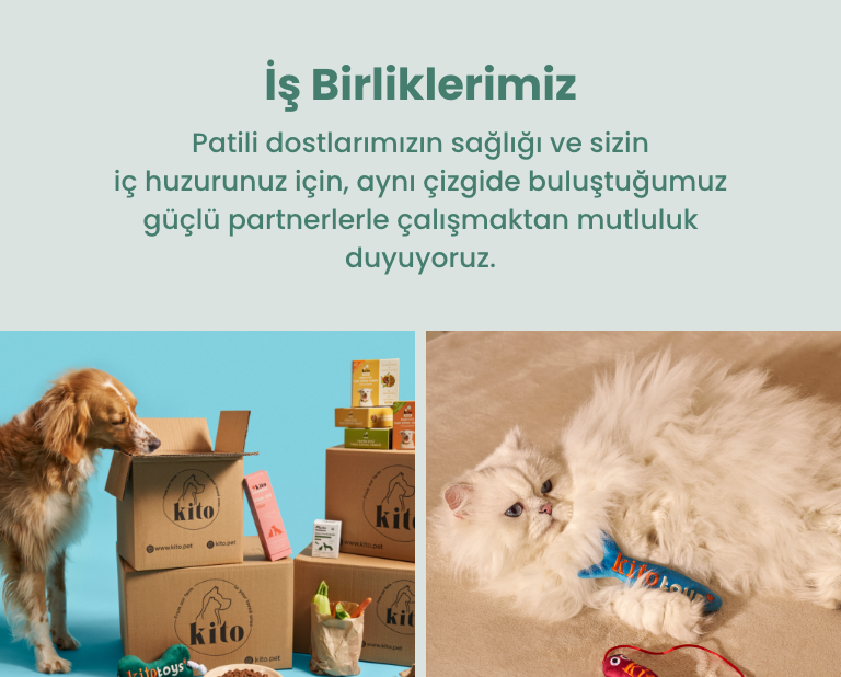 İşbirliklerimiz Banner