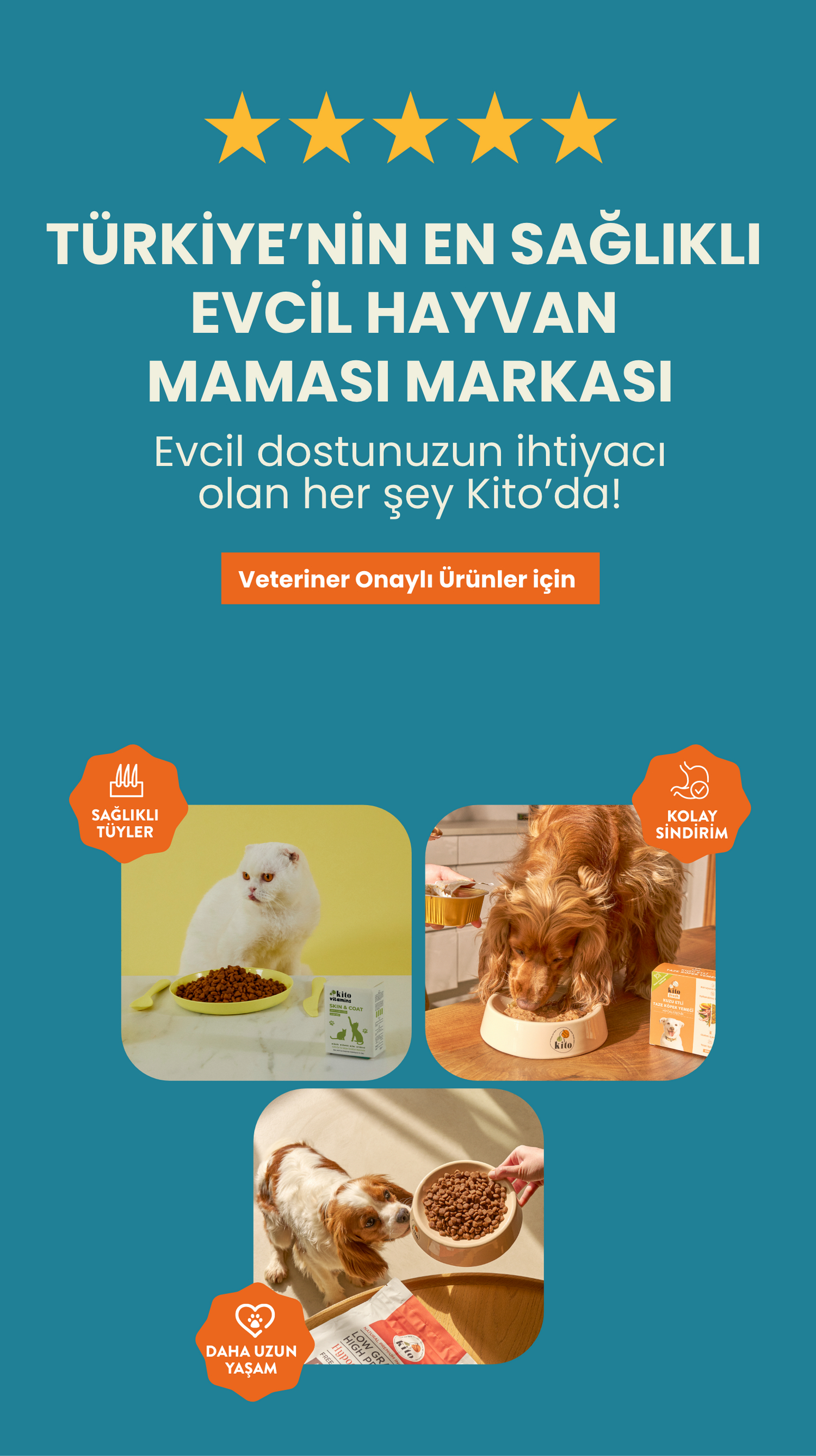 Kito