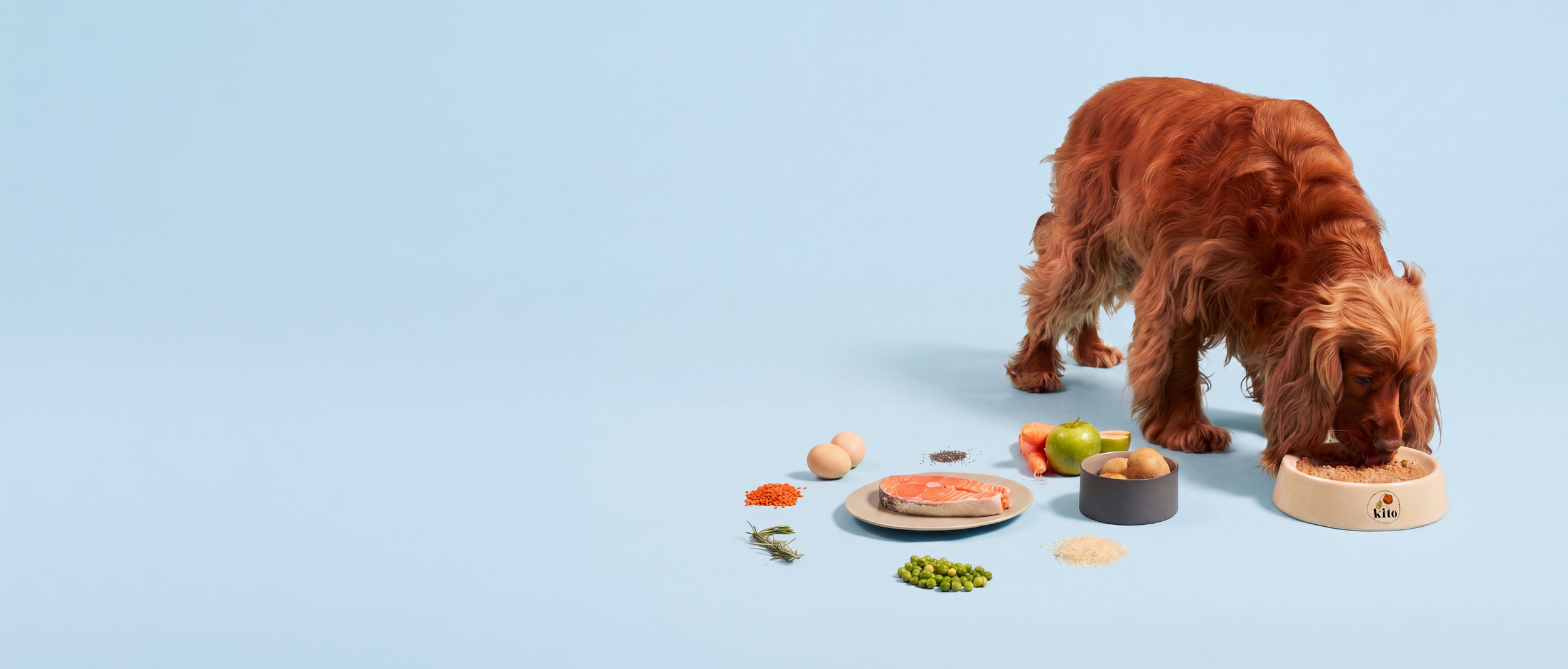 KITO FRESH FOODS SPECIALLY MADE FOR  SENSITIVE FRIENDS