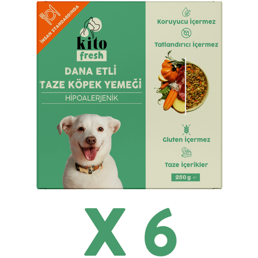 Kito Fresh Dog Food Beef Recipe, 6 x 250 g (1.5 kg)
