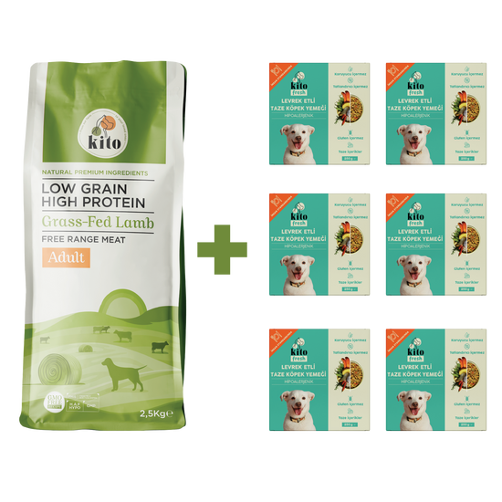 Yetişkin Köpek Maması ve Levrek Etli Köpek Yemeği