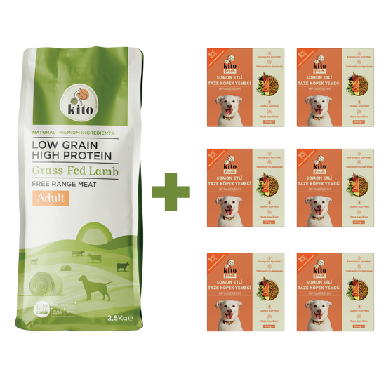 Yetişkin Köpek Maması ve Somon Etli Köpek Yemeği