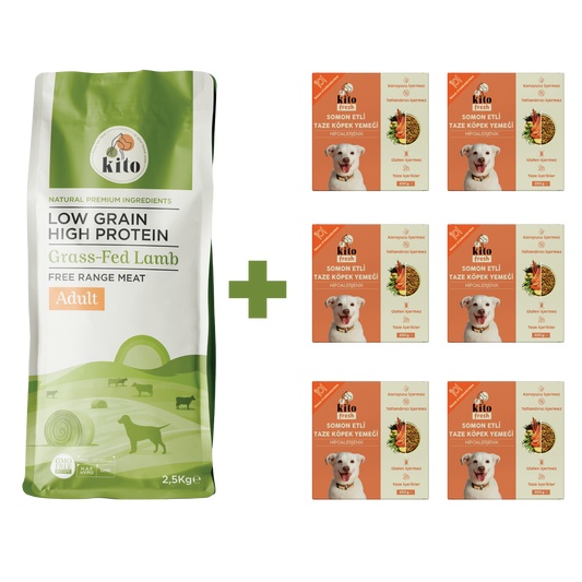 Yetişkin Köpek Maması ve Somon Etli Köpek Yemeği