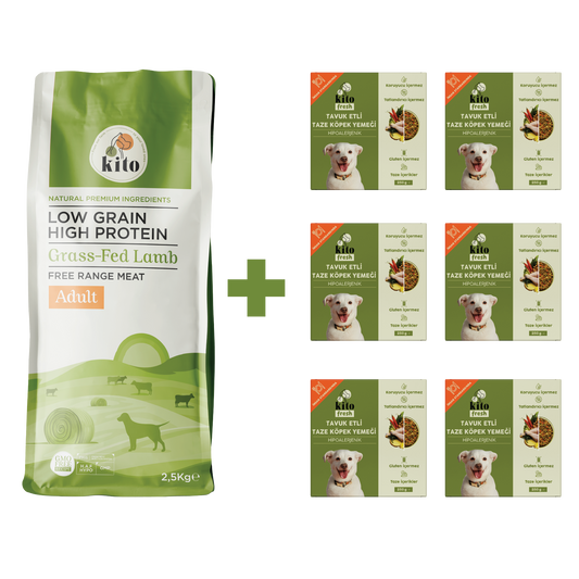 Yetişkin Köpek Maması ve Tavuk Etli Köpek Yemeği