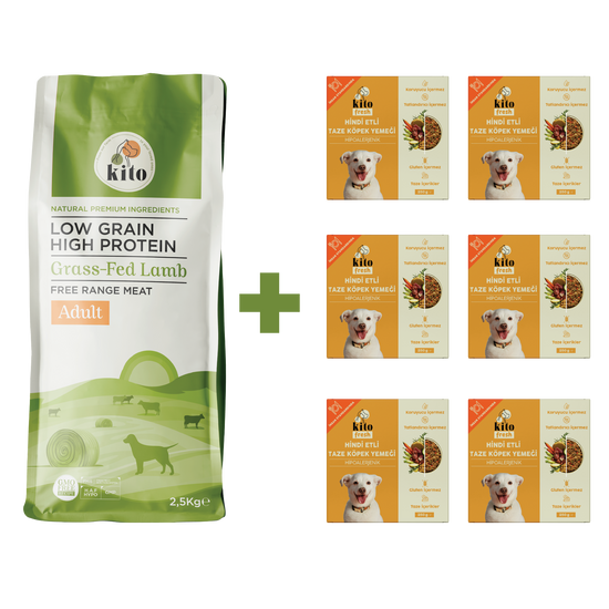 Yetişkin Köpek Maması ve Hindi Etli Köpek Yemeği