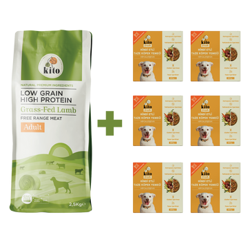 Yetişkin Köpek Maması ve Hindi Etli Köpek Yemeği