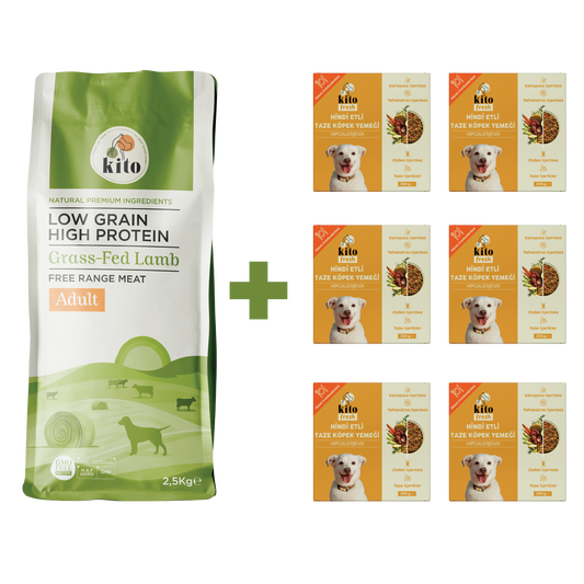 Yetişkin Köpek Maması ve Hindi Etli Köpek Yemeği