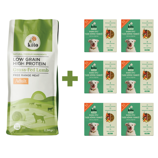 Yetişkin Köpek Maması ve Dana Etli Köpek Yemeği