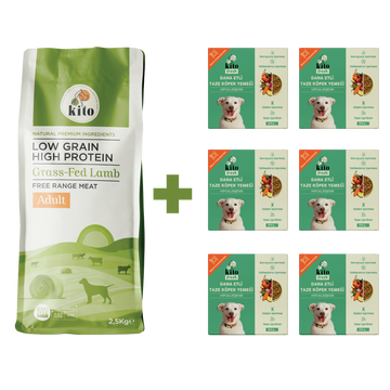 Yetişkin Köpek Maması ve Dana Etli Köpek Yemeği