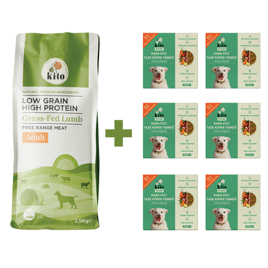 Yetişkin Köpek Maması ve Dana Etli Köpek Yemeği