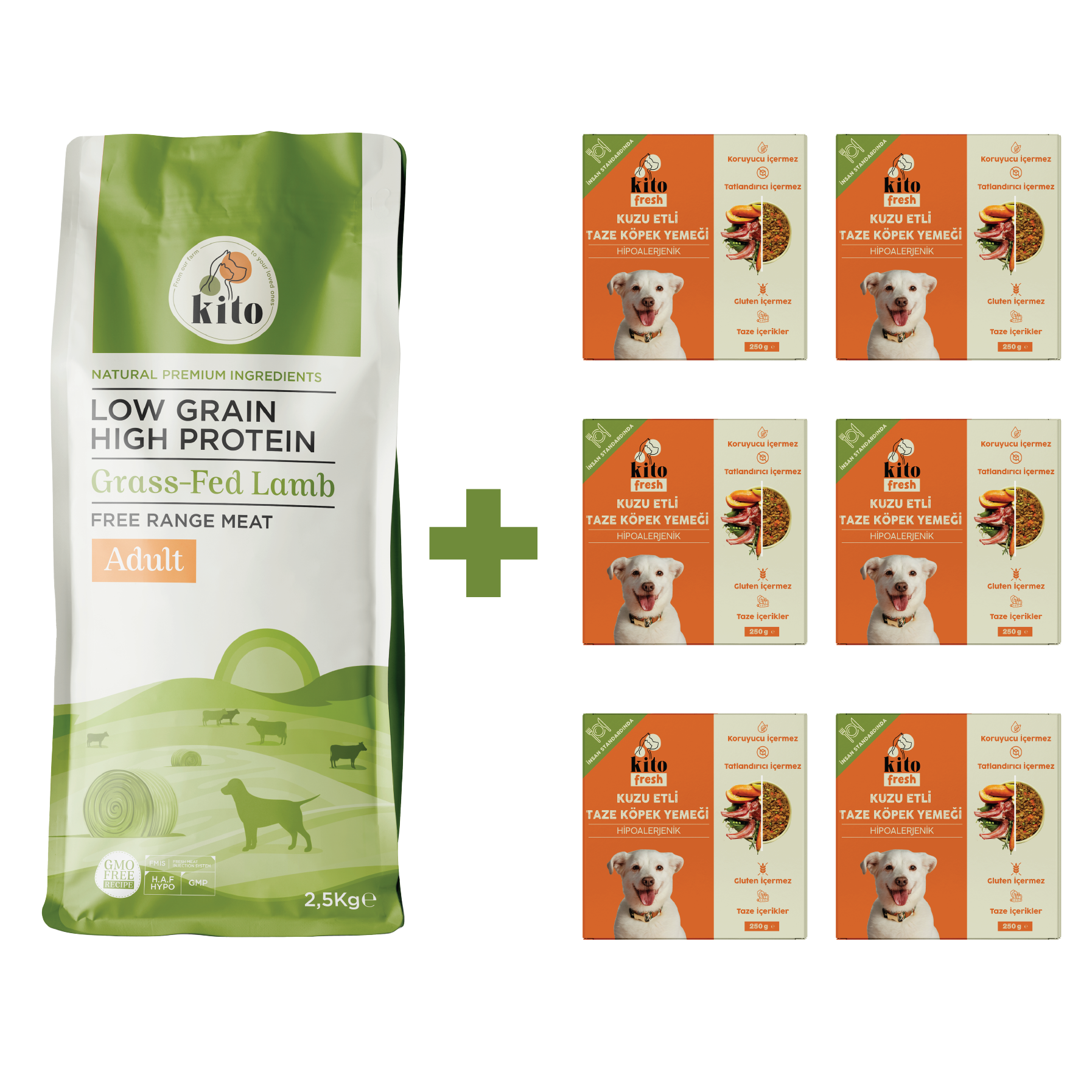 Yetişkin Köpek Maması ve Kuzu Etli Köpek Yemeği