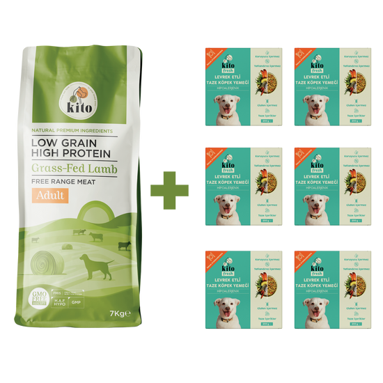 Yetişkin Köpek Maması ve Levrek Etli Köpek Yemeği