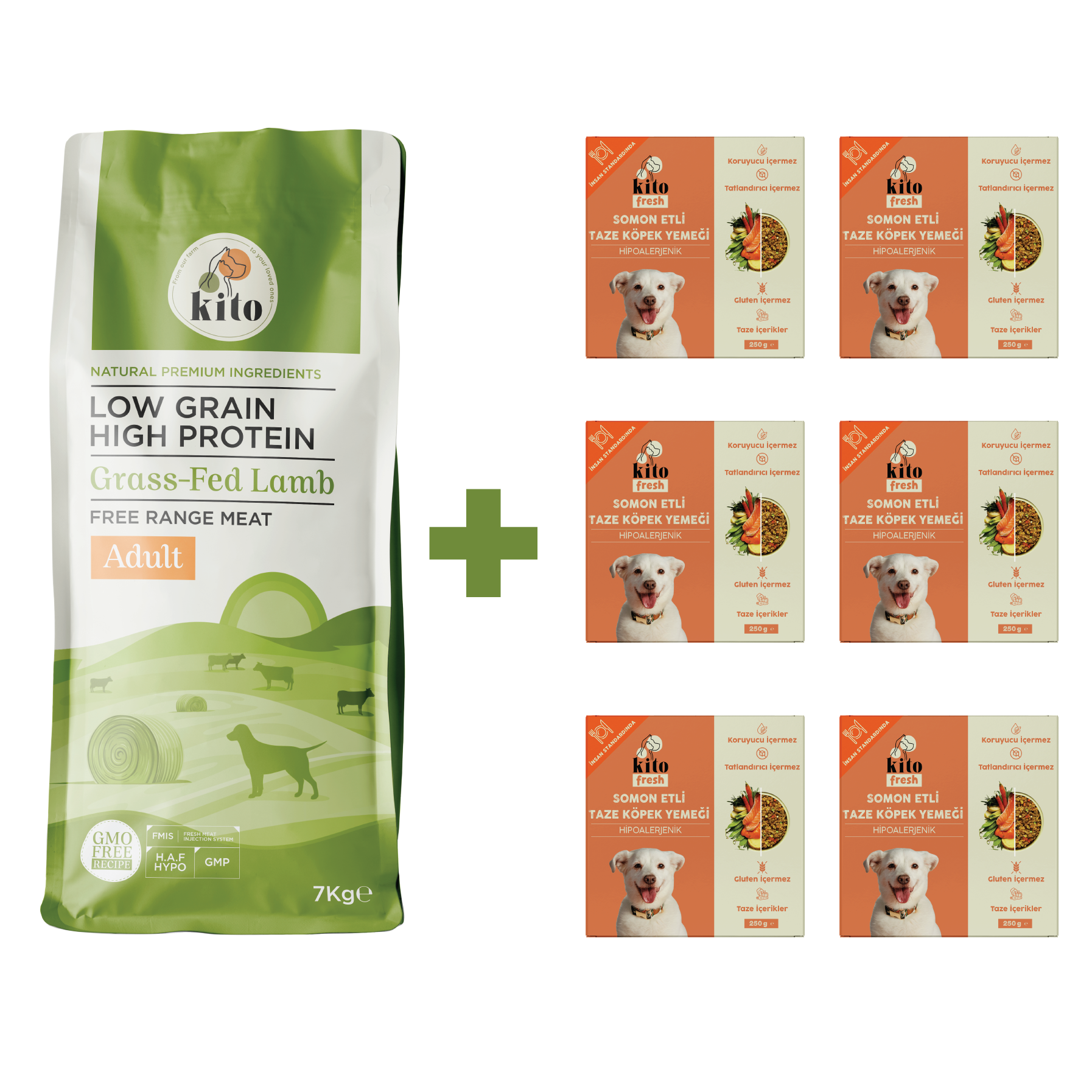 Yetişkin Köpek Maması ve Somon Etli Köpek Yemeği