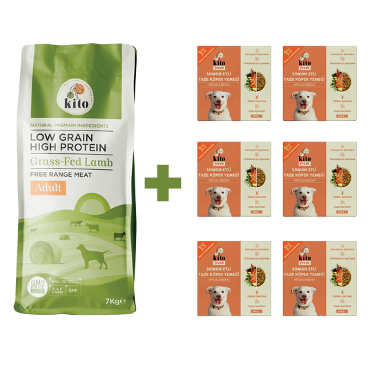 Yetişkin Köpek Maması ve Somon Etli Köpek Yemeği