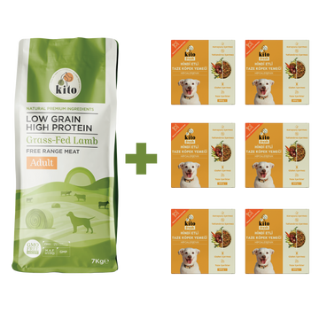 Yetişkin Köpek Maması ve Hindi Etli Köpek Yemeği