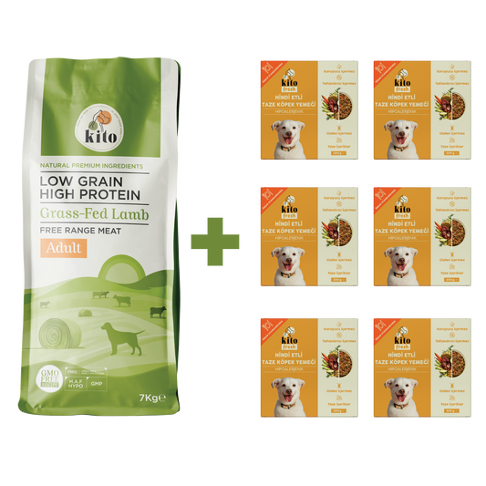 Yetişkin Köpek Maması ve Hindi Etli Köpek Yemeği