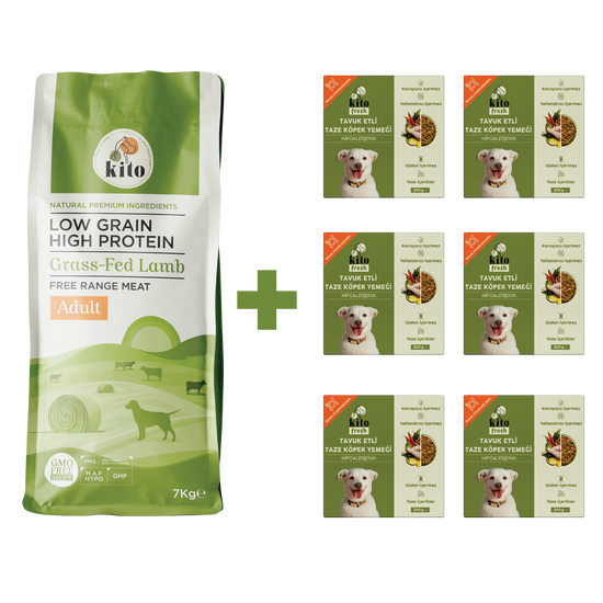 Yetişkin Köpek Maması ve Tavuk Etli Köpek Yemeği