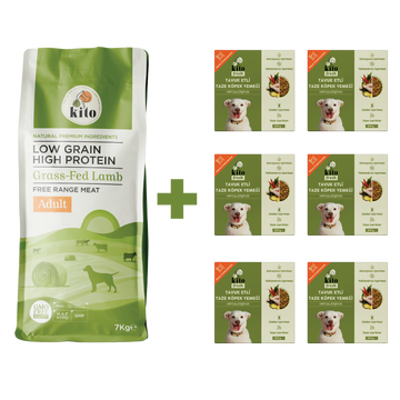 Yetişkin Köpek Maması ve Tavuk Etli Köpek Yemeği