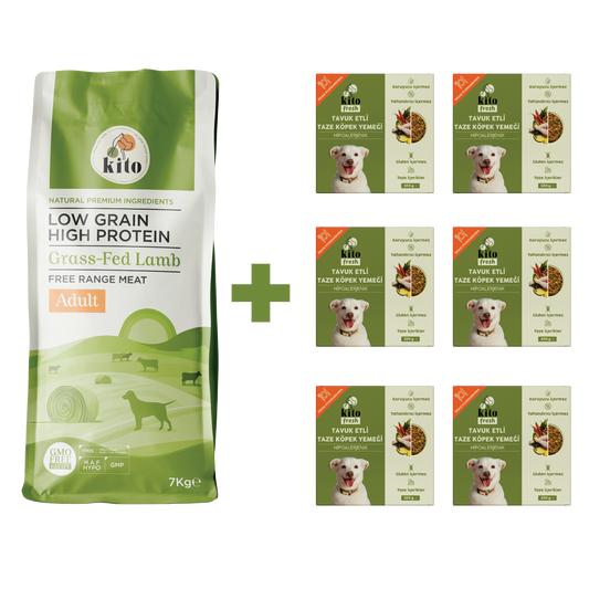 Yetişkin Köpek Maması ve Tavuk Etli Köpek Yemeği