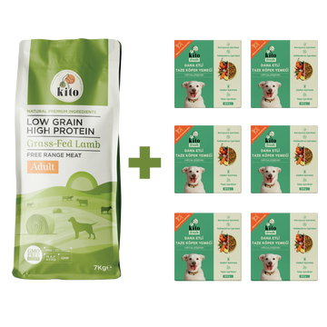 Yetişkin Köpek Maması ve Dana Etli Köpek Yemeği