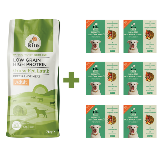 Yetişkin Köpek Maması ve Dana Etli Köpek Yemeği