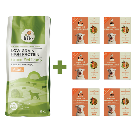 Yetişkin Köpek Maması ve Somon Etli Köpek Yemeği