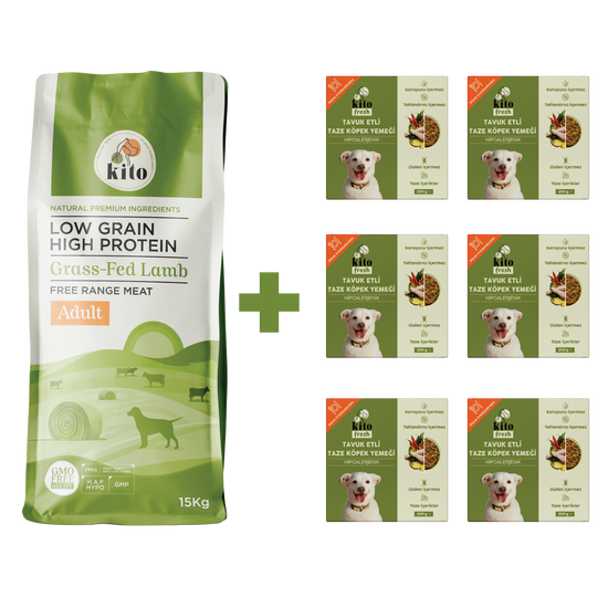 Yetişkin Köpek Maması ve Tavuk Etli Köpek Yemeği