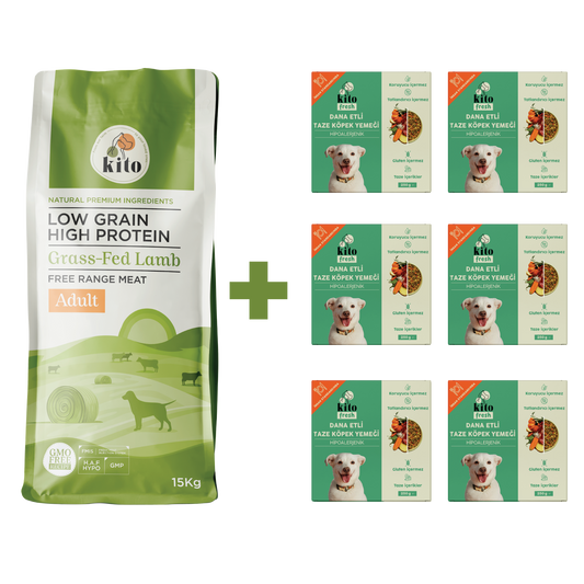 Yetişkin Köpek Maması ve Dana Etli Köpek Yemeği