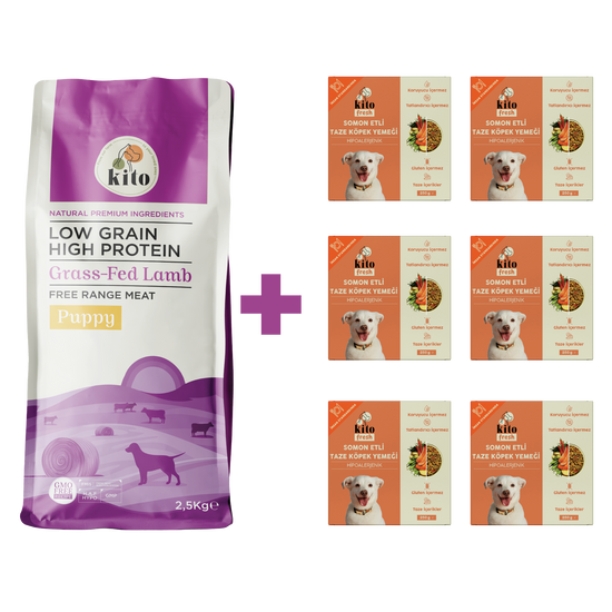 Yavru Köpek Maması ve Somon Etli Köpek Yemeği