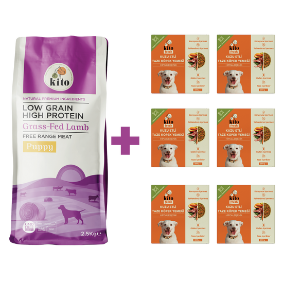 Yavru Köpek Maması ve Kuzu Etli Köpek Yemeği