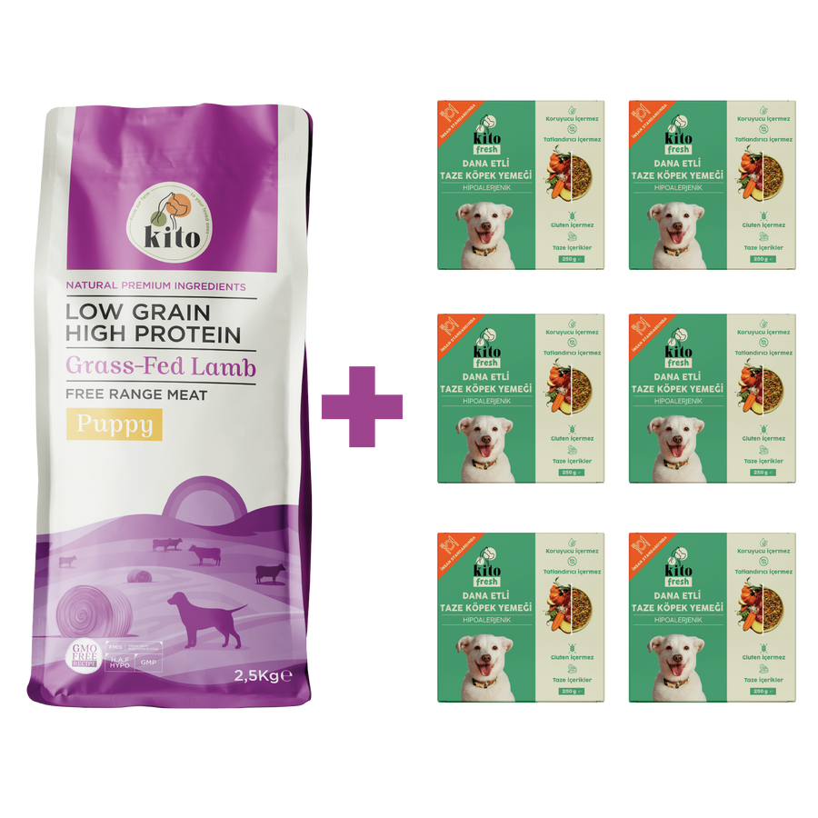 Puppy Food 2,5 KG + Kito Fresh Dog Food with Beef X 6