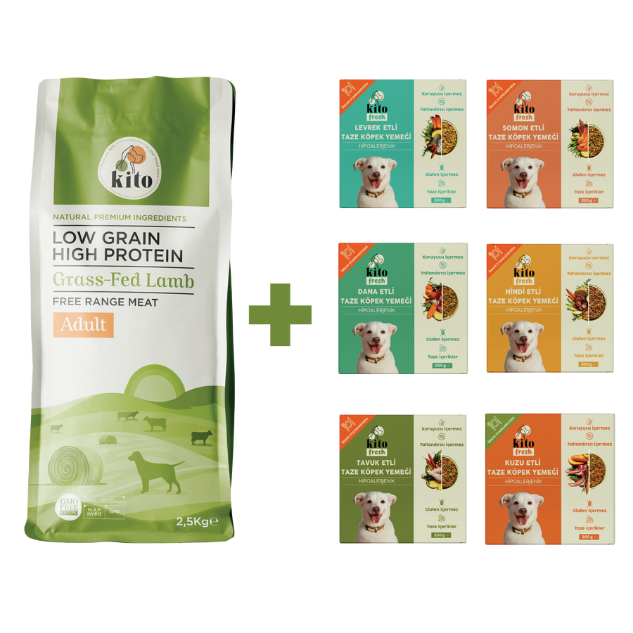 Adult Dog Food 2,5 KG + Kito Fresh Introductions Package